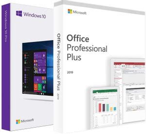 MICROSOFT Windows 10 Pro & Office Professional Plus 2019 (1 User/PC ...