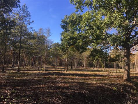 Featured Projects WildMAPs – Maumee AOC