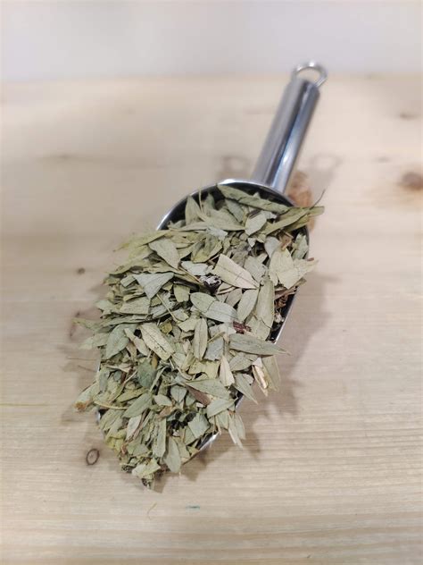 Como Usar Las Hojas De Sen at Kate Wardill blog