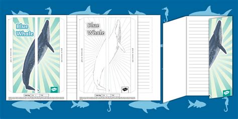 Blue Whale Folding writing Template