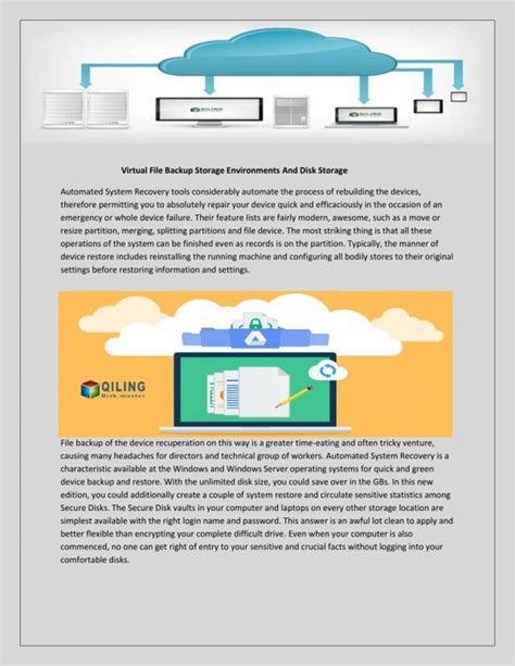 Image result for Disc Backup System