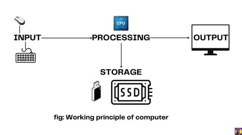 Basics of Computer Operating Systems Class 7 的图像结果