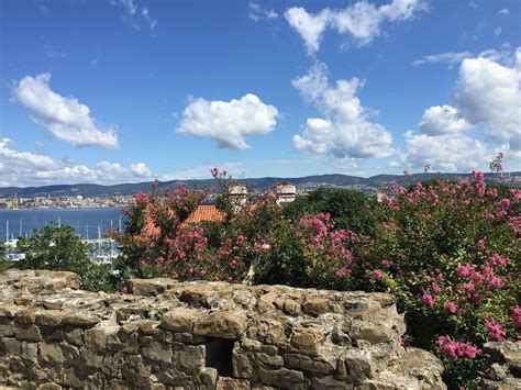 THE BEST Muggia Shopping Malls (Updated 2024) - Tripadvisor