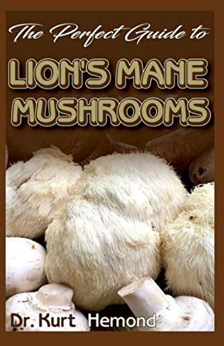 Buy The Perfect Guide to Lion's Mane Mushrooms: A Basic guide to all ...