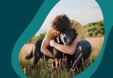 Veterinarian in York, PA | Leader Heights Animal Hospital