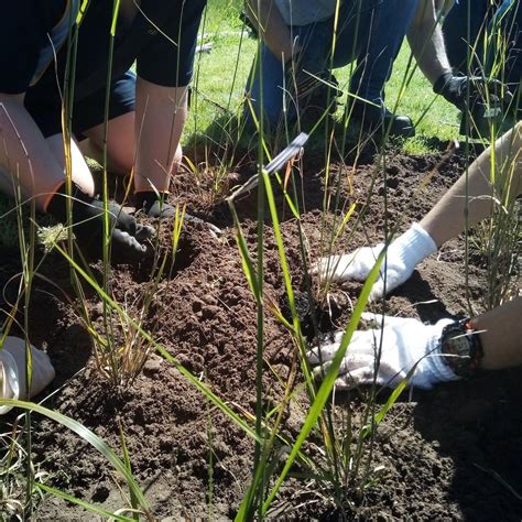 World Earth Day - Labyrinth Walk and Community Planting, 653 Research ...