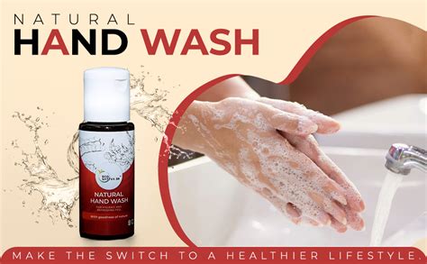 EcoSattva 3R - Natural Hand Wash | Chemical Free | Herbal Soap Nut ...