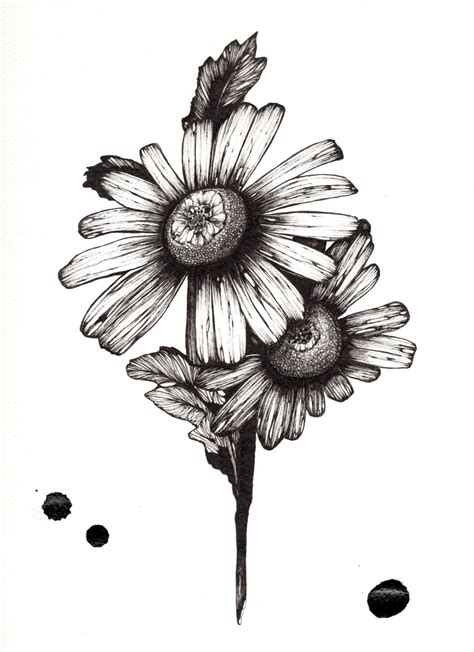 Easy Pen Drawings at PaintingValley.com | Explore collection of Easy Pen Drawings