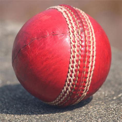 Leather ball – Meetsports.in