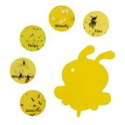 Buy Jytue Yellow Sticky Fly Trap Dual-Sided Sticky Trap Plastic Bug ...