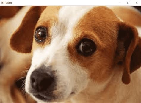 Image result for OpenCV Python Tutorial Great Learning