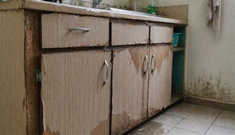 Best Kitchen Cabinet Materials in India: Plywood vs MDF vs ...
