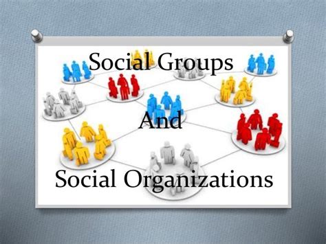 Social Organization Examples 的图像结果