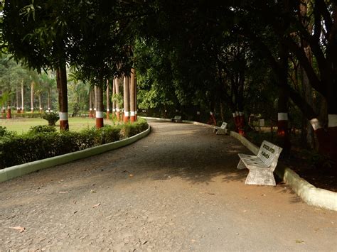 Waghai Botanical Garden | Homepage