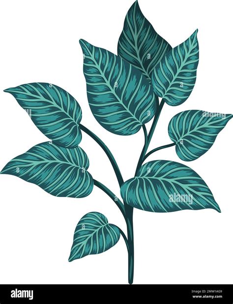 Vector tropical plant clip art. Jungle foliage illustration. Hand drawn exotic leaves isolated ...