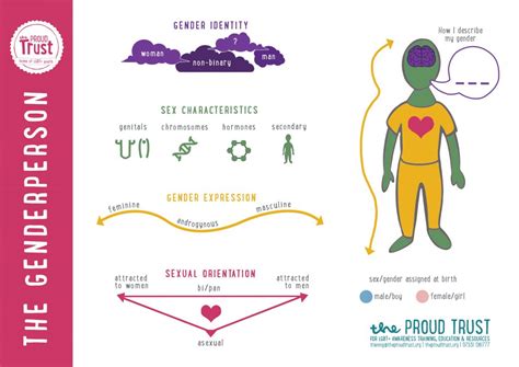 Image result for Explaining Gender Identity