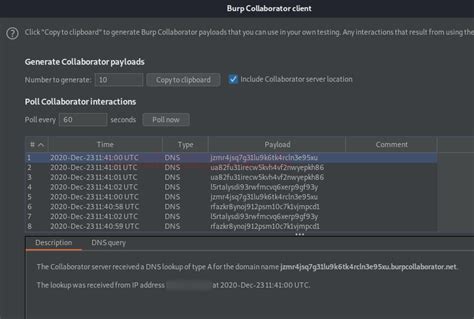 Burp Suite for Pentester: Burp Collaborator