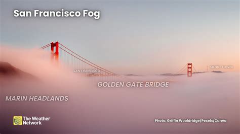 San Francisco is a city of fog and unforgettable sights - The Weather ...