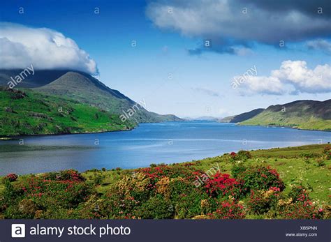 Image result for Java Lab Kuantum