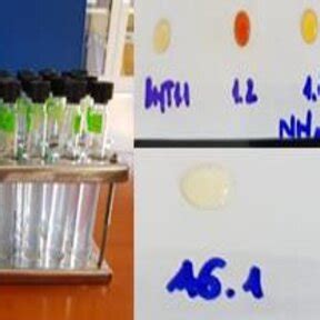 Nessler Reagent 的图像结果