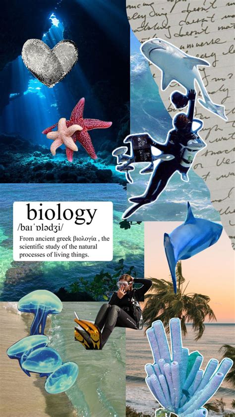 Marine Biology Masters Europe at Michelle Hamilton blog