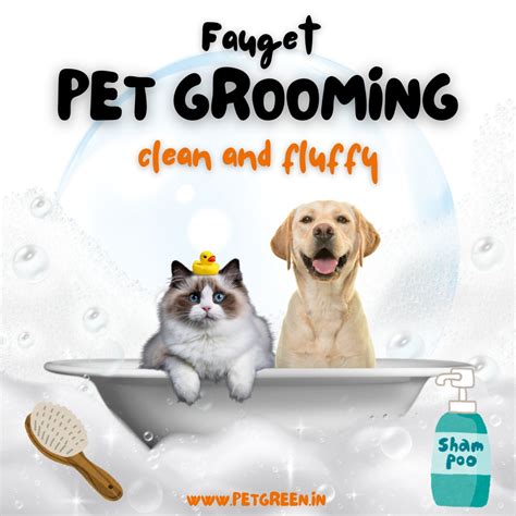 PET GROOMRING – PETGREEN
