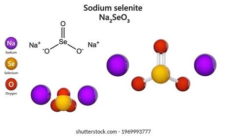 Sodium Selenite Inorganic Compound Formula Na2seo3 Stock Illustration ...