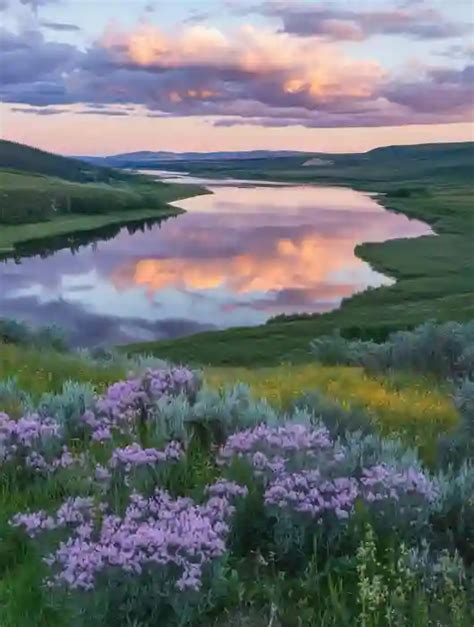 4K图片 的图像结果