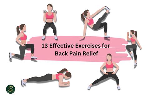 13 Effective Exercises for Back Pain Relief | SitCushion