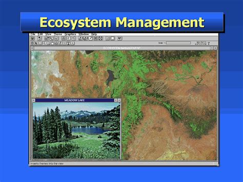 Image result for Primer Ecological Software Tutorial