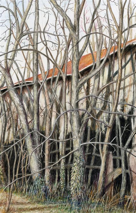 Creating Trees and Other Textures with Pencils, 116 N Main Street ...