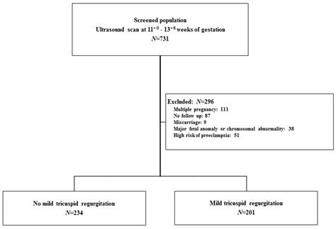 Mild Fetal Tricuspid Regurgitation in the First Trimester as a ...