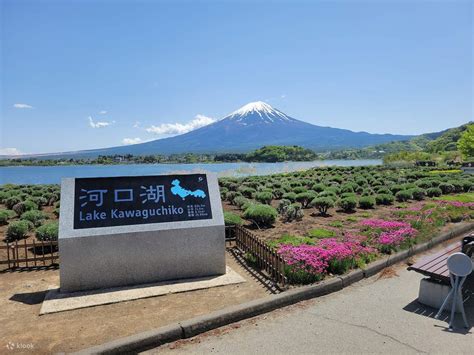 Mount Fuji, Kawakuchiko, and Arakurayama Sengen Park Join In Bus Tour ...