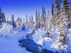 Wallpaper Snowy by Wallpapers Snow Wallpapers Wallpaper Snowy