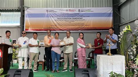 Banana fibre extraction facility inaugurated in Nagaland to transform ...