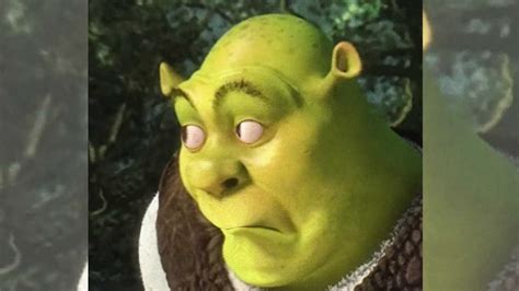 Shrek Meme Face | Know Your Meme
