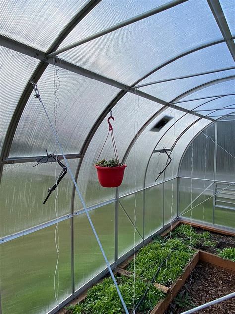 Th Greenhouse Twist Clips, Hook, Plant Flower Hanging Clip Set For ...