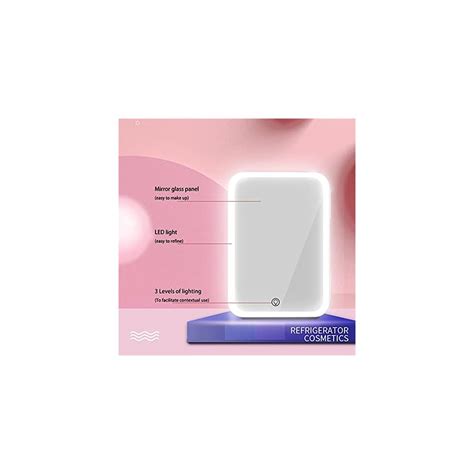 Buy Mini fridge with LED Lamp Mirror Full Makeup 8Liter Compact ...