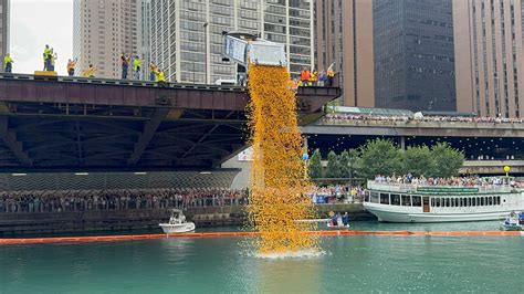 Video and photos of the 2025 Chicago Ducky Derby to benefit Special ...