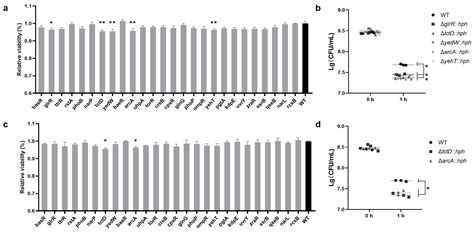 Roles of Response Regulators in the Two-Component System in the ...
