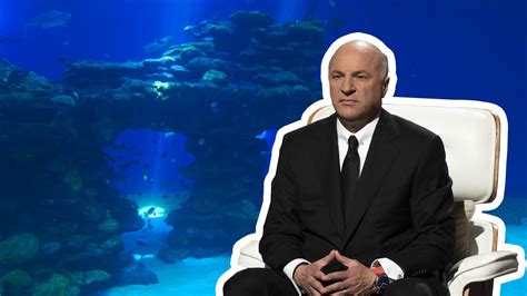 Kevin O'Leary's biggest 'Shark Tank' winners