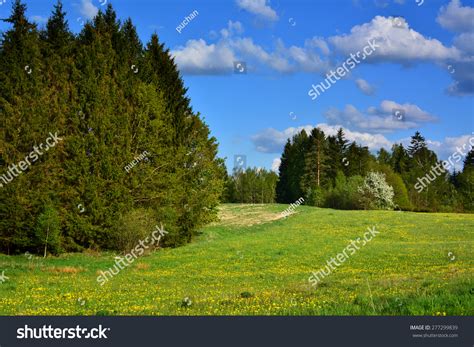 Image result for Colorful Spring Landscape