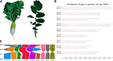 Image result for Multigraph Figure Example