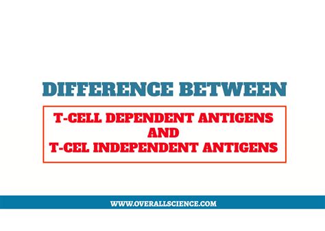 Independent set Problems 的图像结果