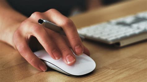 Karnataka B.Ed Round 2 Selection List 2024 (Released): DSE activated ...