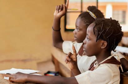 The Seedling Project – The Seedling Project