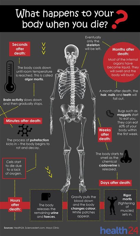 General Dentistry: What Happens To You When You Die