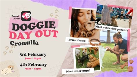 Puppi Lovers | Doggie Day Out | Cronulla, Cronulla Beach, Sutherland, 3 ...