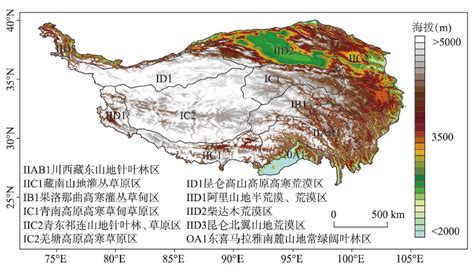 高寒草地及高寒湿地CH 4 源汇量化取得进展----中国科学院青藏高原研究所