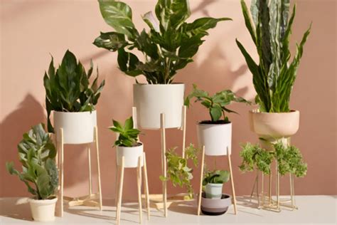 Buy Organic Soil Mix For Plants | Gardengram